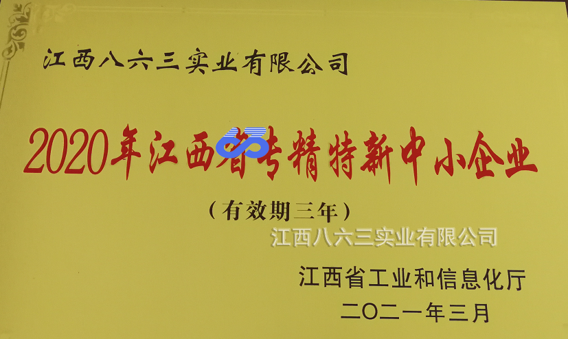 云博在线手机版（大中国区）喜获国家级专精特新“小巨人”称号